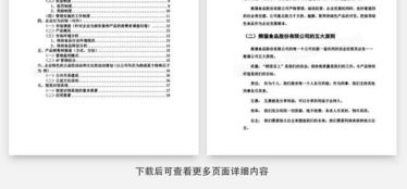 食品公司營(yíng)銷策劃書(shū)Word模板下載指南